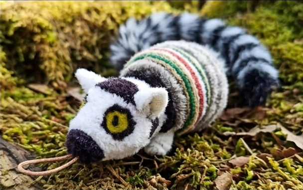 Asili Lemur