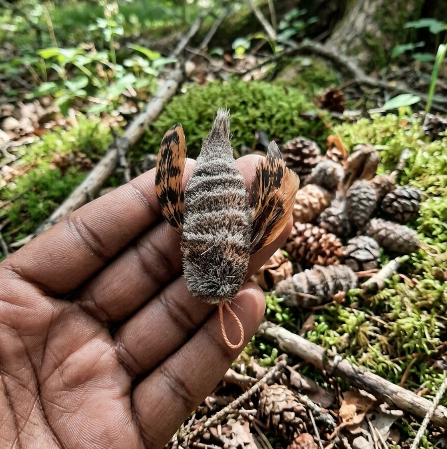 Savannah Bat